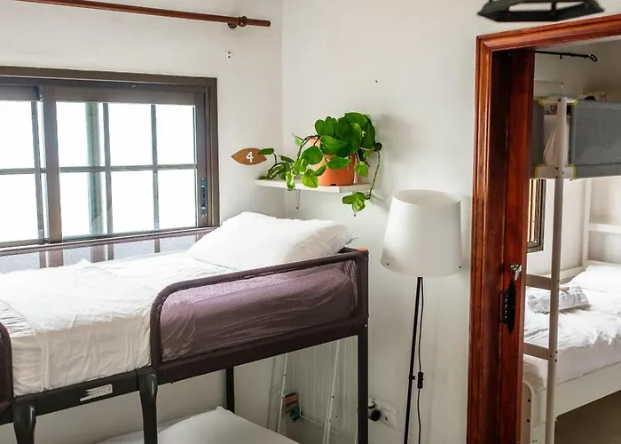 בית הארחה Casanaga Almaciga